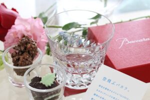 Image bridgeclothing.co.uk 395 1745983722365